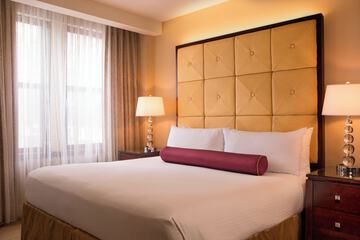 Millennium Hotel Knickerbocker Chicago