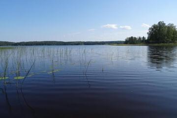 Photo 54
