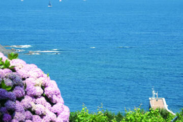 Beach or Ocean View