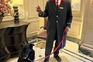 Pet-friendly