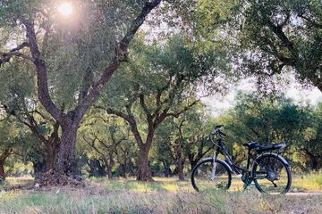 Bicycling