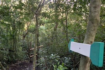 Hiking