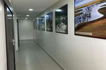 Hallway