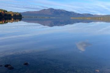 Photo 50