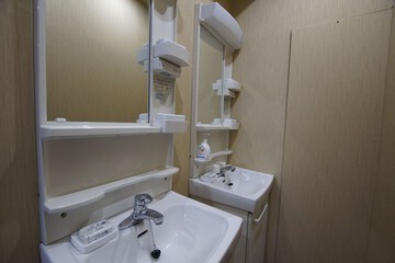 Bathroom sink