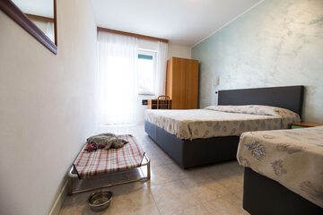 Pet-friendly amenities