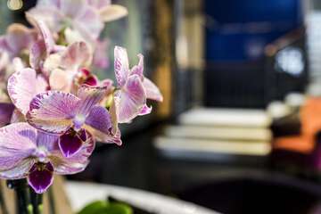 Concierge desk