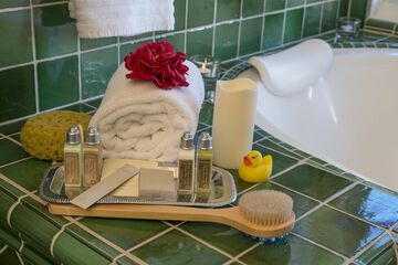 Bathroom amenities