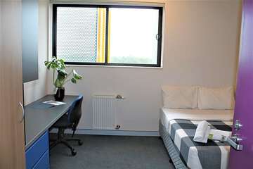 Photo 12