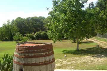 Photo 46