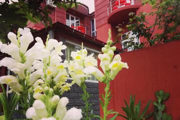 Photo 25