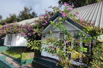 Photo 44