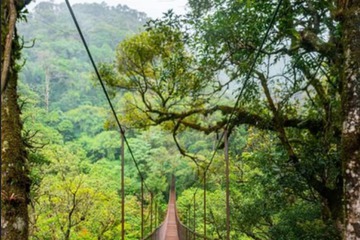 Hiking