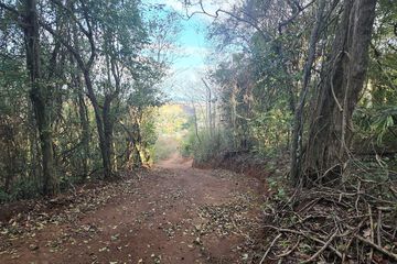Hiking