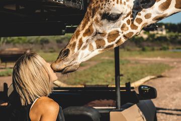Safari