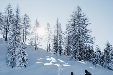 Snowshoeing