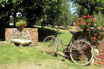 Bicycling