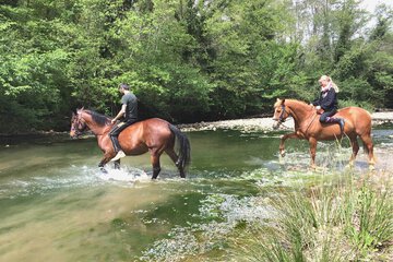Horseback riding