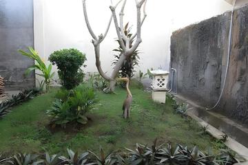 Photo 48