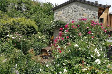 Photo 29