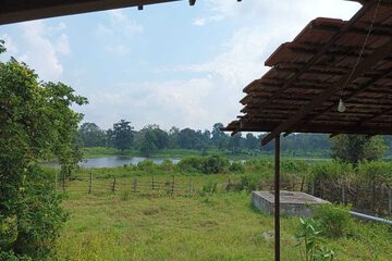 Lake view