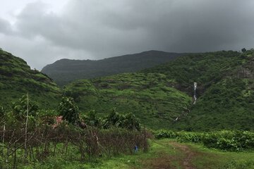Hiking