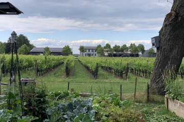 Winery