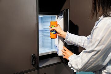 Mini-refrigerator