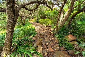 Photo 27