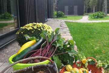 Photo 41