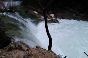 Photo 42