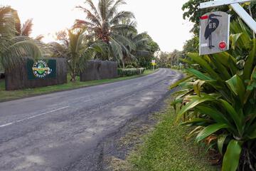 Photo 47