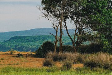 Game viewing