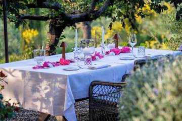 Couples dining