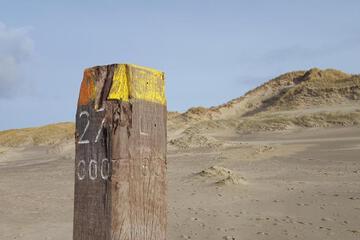 Photo 50