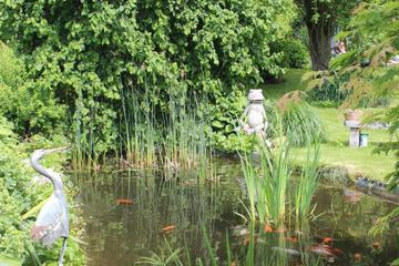Photo 32
