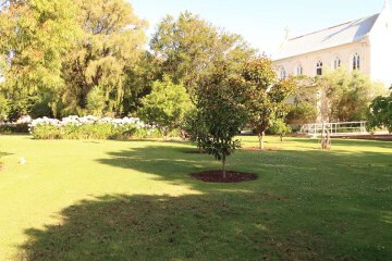 Garden view