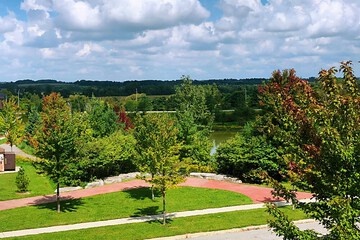 Lake view