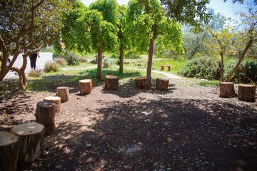 BBQ/picnic area