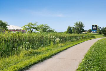 Land view from property