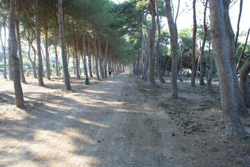 Photo 38