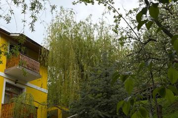 Photo 43