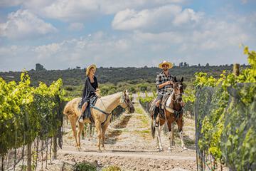 Horseback riding