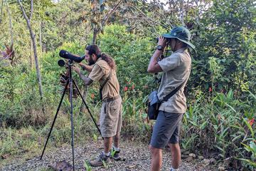 Game viewing