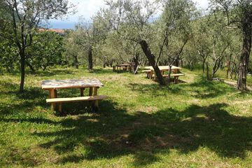 BBQ/picnic area