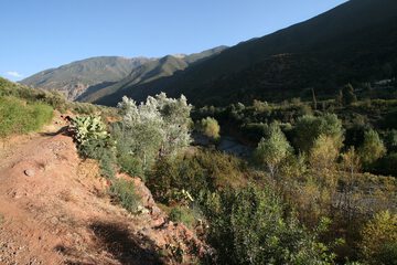 Mountain view
