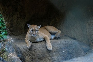 Ecotours