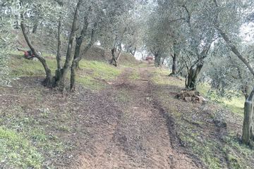 Ecotours