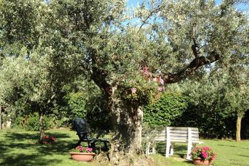 Photo 62