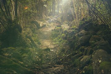 Hiking